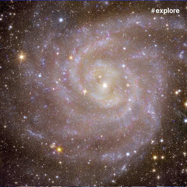 Eine detaillierte Aufnahme einer Spiralgalaxie mit deutlich sichtbaren Spiralarmen und hellem Zentrum. Die Galaxie ist von zahlreichen hellen Sternen umgeben und zeigt bläuliche und gelbliche Farbtöne.