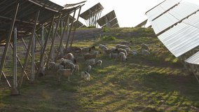 A grassland project that contributes to climate protection may be assessed under Article 6.4.