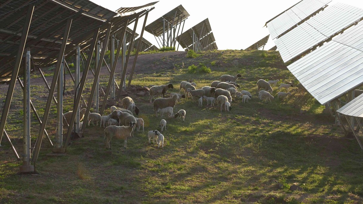 A grassland project that contributes to climate protection may be assessed under Article 6.4.