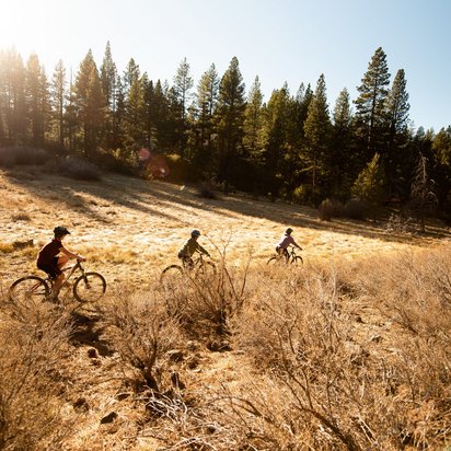 Drei Mountainbiker fahren bei goldenem Sonnenlicht durch eine trockene Wiese mit hohem Gras vor einem Nadelwaldrand. Die Szene zeigt eine idyllische Outdoor-Aktivität in hügeligem Gelände während der goldenen Stunde.