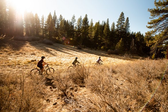 Drei Mountainbiker fahren bei goldenem Sonnenlicht durch eine trockene Wiese mit hohem Gras vor einem Nadelwaldrand. Die Szene zeigt eine idyllische Outdoor-Aktivität in hügeligem Gelände während der goldenen Stunde.