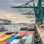 Containerschiffe und Verladekräne in einem modernen Containerhafen mit maritimer Infrastruktur.