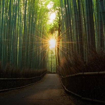 Ein schmaler Weg führt durch einen dichten Bambuswald mit hohen grünen Bambusstämmen zu beiden Seiten. Helles Sonnenlicht scheint am Ende des Pfades durch und erzeugt einen dramatischen Lichtstrahl zwischen den Bäumen.