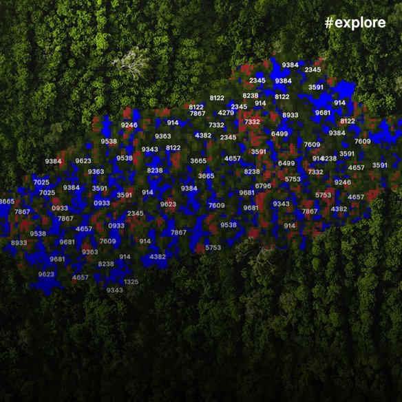 Waldanalyse mit Daten: Luftaufnahme eines Waldgebiets mit überlagerten numerischen Daten in Blau und Rot. Die Zahlen markieren bestimmte Bereiche für eine Analyse der Waldfläche.