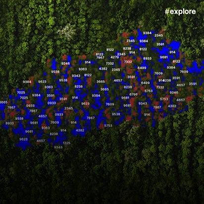 Waldanalyse mit Daten: Luftaufnahme eines Waldgebiets mit überlagerten numerischen Daten in Blau und Rot. Die Zahlen markieren bestimmte Bereiche für eine Analyse der Waldfläche.