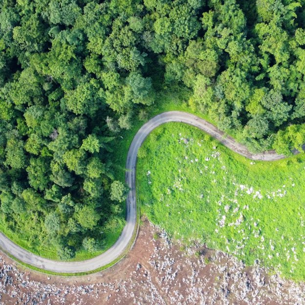 Ein Straßenpfad verläuft neben einem Wald und einer Wiese