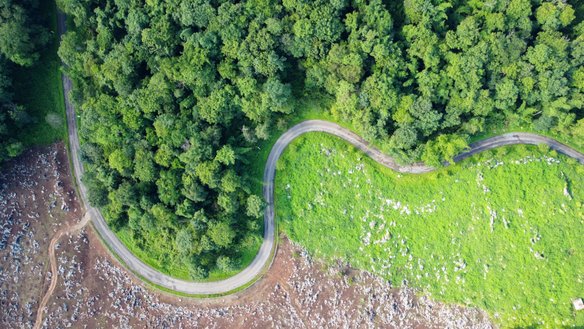 Ein Straßenpfad verläuft neben einem Wald und einer Wiese