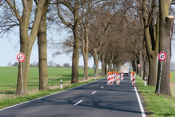 Landstraße mit Verkehrssicherungsmaßnahmen und Absperrungen zwischen Bäumen