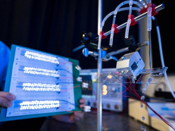 Laboraufbau mit Steckbrett, Glasröhrchen und elektronischen Komponenten. Eine Hand hält eine blau leuchtende Leiterplatte mit mehreren Zeilen weißer LEDs.