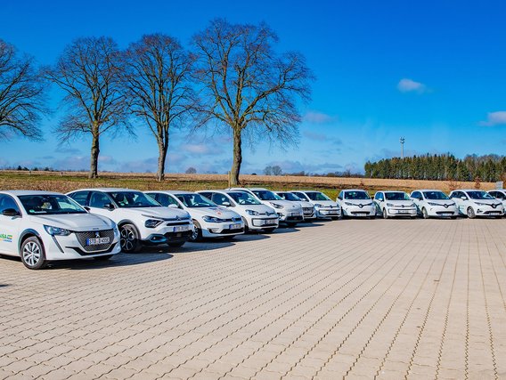 Eine Reihe von etwa 15 weißen Elektroautos verschiedener Marken steht auf einem gepflasterten Parkplatz. Im Hintergrund erstreckt sich eine ländliche Landschaft mit kahlen Bäumen unter blauem Himmel.