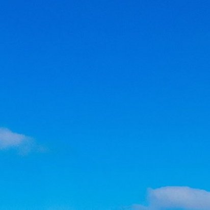 Eine Reihe von etwa 15 weißen Elektroautos verschiedener Marken steht auf einem gepflasterten Parkplatz. Im Hintergrund erstreckt sich eine ländliche Landschaft mit kahlen Bäumen unter blauem Himmel.