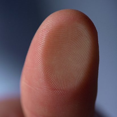 Großaufnahme eine Daumens und des Fingerabdruckes.