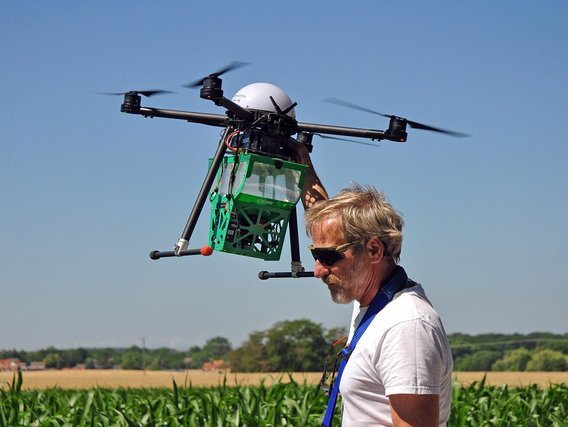 Ein Mann mit Sonnenbrille und weißem Shirt steuert eine Drohne mit grünem Transportbehälter über einem Maisfeld.