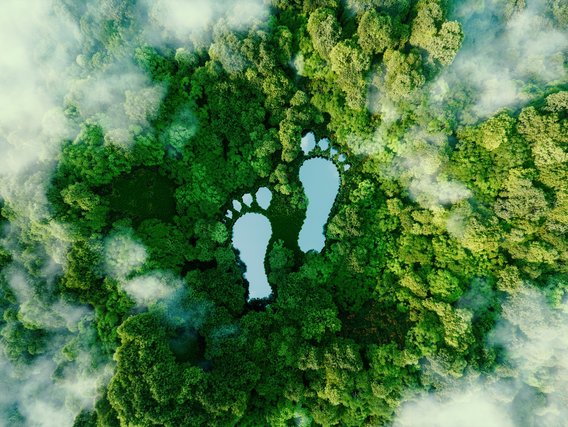 Nachhaltigkeit und ökologischer Fußabdruck im Einklang mit der Natur Luftaufnahme eines Waldes mit zwei fußabdruckförmigen Wasserflächen als Symbol für Nachhaltigkeit