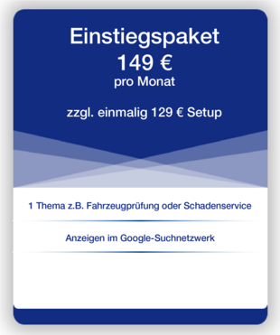 Einstiegspaket für Google Adwords Google AdWords Einsteiger-Paket