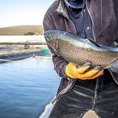 Symbolbild ASC Zertifizierung