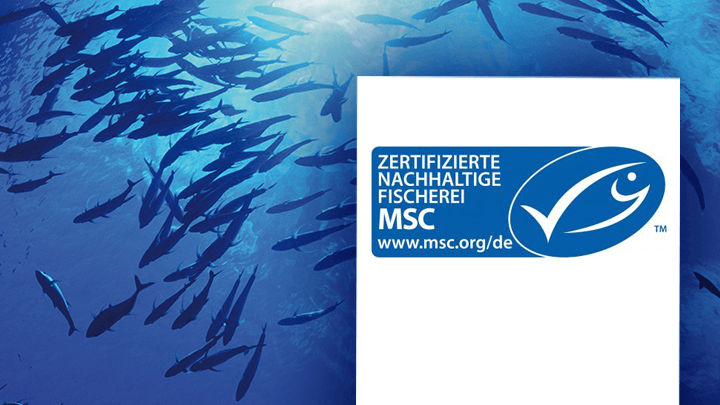 MSC Zertifizierung TÜV NORD Cert