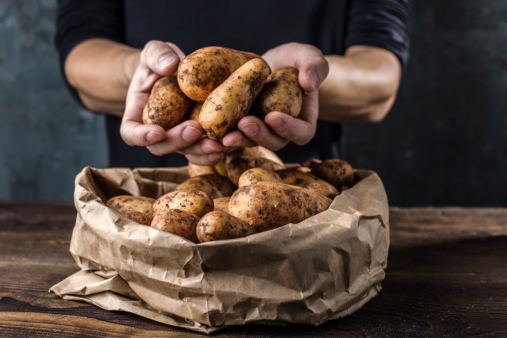 Eine Person hält mehrere frisch geerntete Kartoffeln in den Händen über einem braunen Papiersack, der mit weiteren Kartoffeln gefüllt ist. Der Hintergrund ist dunkel und rustikal.