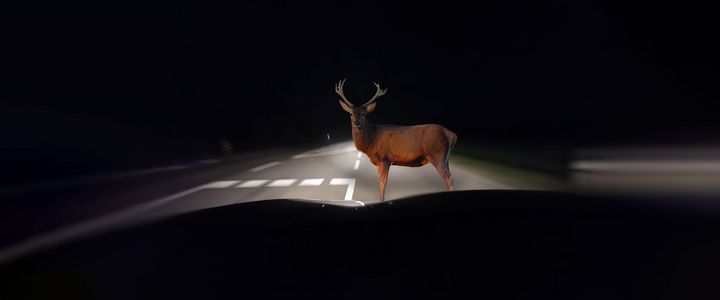 Anhalteweg und Bremsweg berechnen