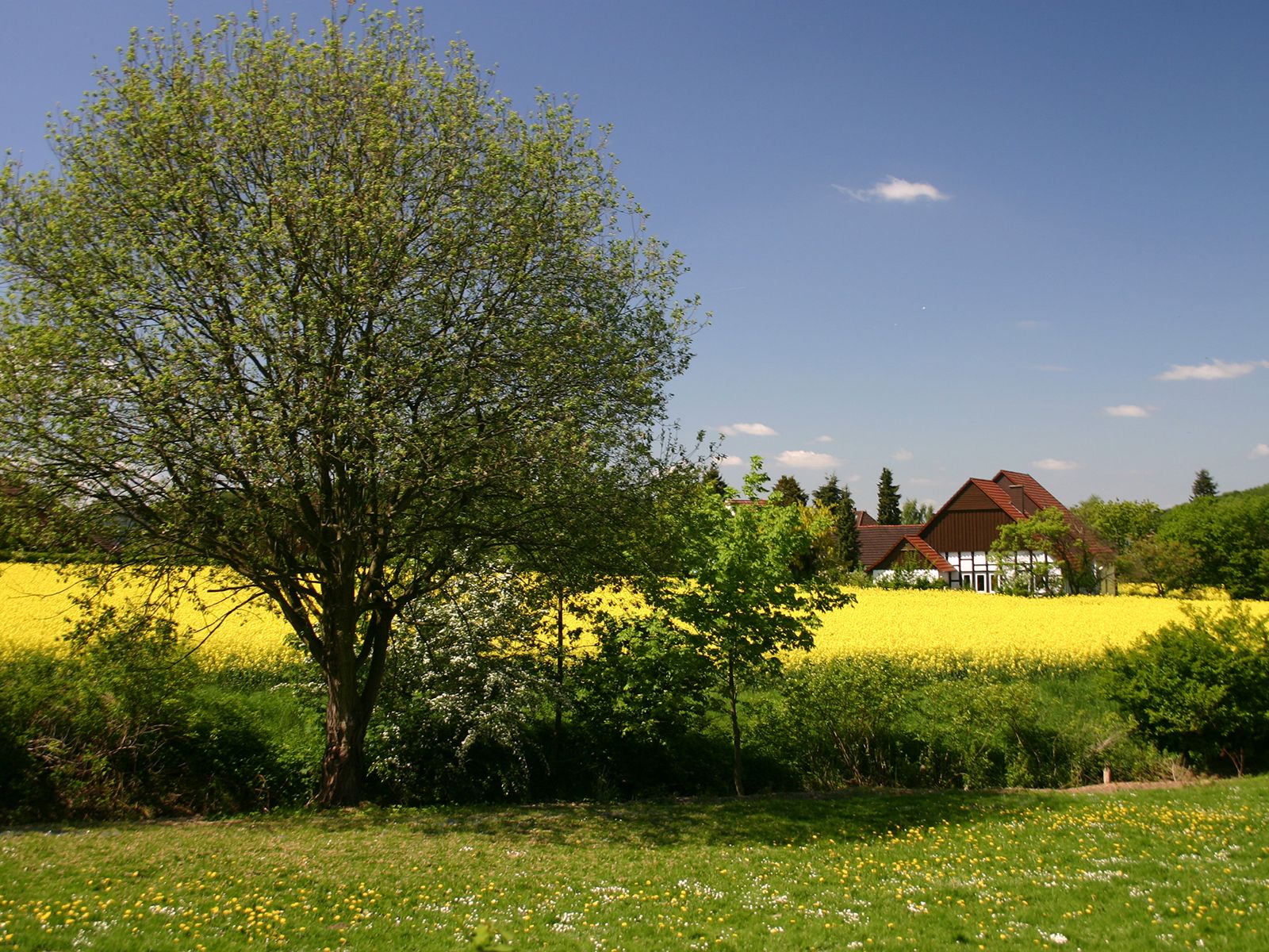 Bielefeld